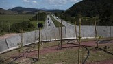 FOTO: Jembatan Penghubung Cegah Monyet Brasil Punah Brasil membangun koridor ekologi yang menghubungkan dua hutan untuk mencegah punahnya monyet Brazil.