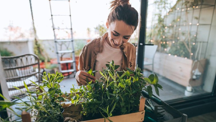 Ilustrasi berkebun Photo of young woman taking care of her plants on a rooftop garden