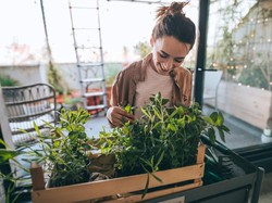5 Channel Youtube Asyik untuk Inspirasi Berkebun