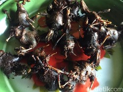 5 Makanan Khas Gunungkidul yang Eksotis, Kelelawar hingga Belalang!