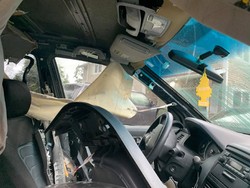 Duh! Endus Aroma Pizza, Beruang Acak-acak Mobil