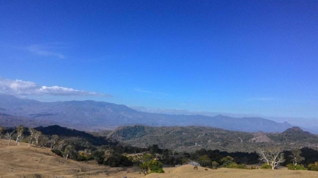 Apa alasan observatorium yang bakal jadi yang terbesar di Asia Tenggara dibangun di Gunung Timau, NTT? BRIN ungkap faktor pendorongnya.