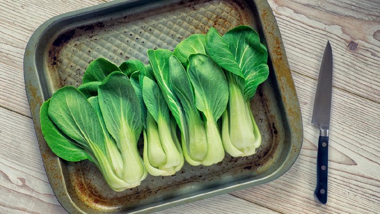Fresh bok choy vegetable growing using hydroponic method.