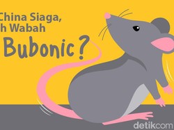 Pes Bubonic Hantui China di Tengah Pandemi Corona, Penyakit Apa Itu?