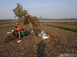 Perantau Wonogiri Punya Siklus Pulang Kampung, Tak Cuma saat Lebaran