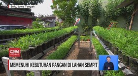 VIDEO: Memenuhi Kebutuhan di Lahan Sempit