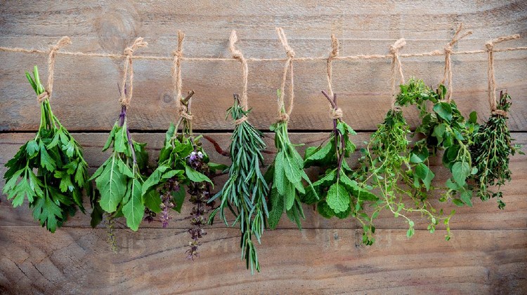 Ice cube tray with herbs frozen in oil and fresh rosemary on grey background, flat lay