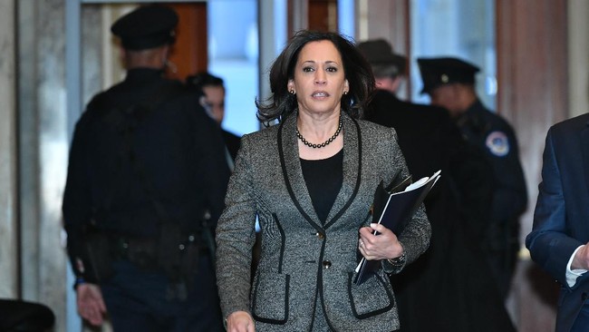 Kamala Harris memulai karier sebagai pengacara sebelum memasuki dunia politik dan dipilih sebagai cawapres oleh kandidat presiden Joe Biden.