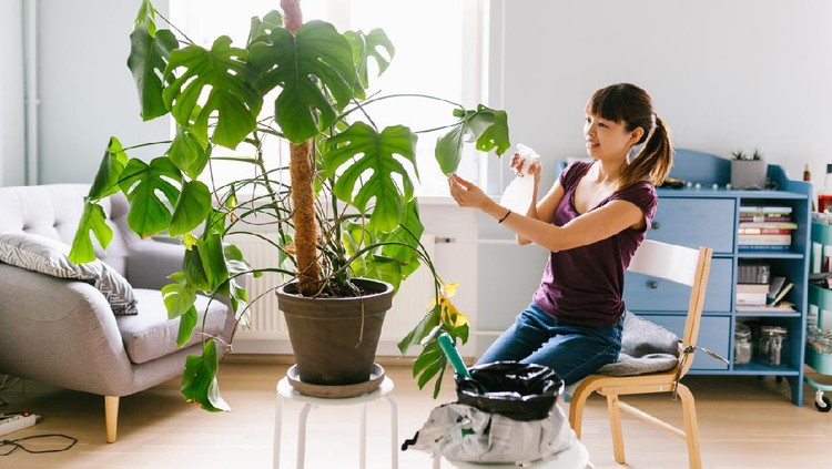 Woman taking care of plants at home