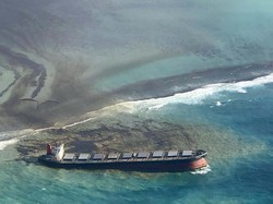 Kapal Jepang Bayar Rp 136 M Akibat Tumpahan Minyak di Mauritius