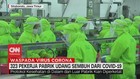 VIDEO: 323 Pekerja Pabrik Udang Sembuh Dari Covid-19