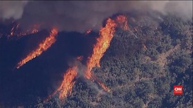 VIDEO: Kebakaran Hutan di California AS