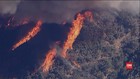 VIDEO: Kebakaran Hutan di California AS