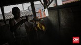 FOTO: Geliat Perajin Patung Garuda Pancasila Kala Corona Perajin Patung Garuda Pancasila mampu menyelesaikan pembuatan 400 patung dan dijual dengan harga Rp 250 ribu-Rp3 juta bergantung ukuran di tengah corona.