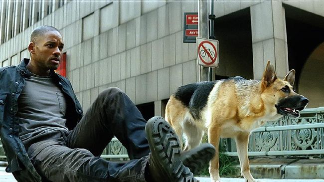 Produser dan penulis naskah I Am Legend beberkan sekuel dibintangi Will Smith dan Michael B. Jordan akan telusuri alternate ending pertama.