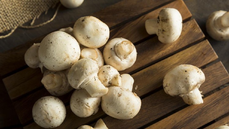 Ilustrasi jamur Raw Organic Baby Button Mushrooms Ready to Cook With