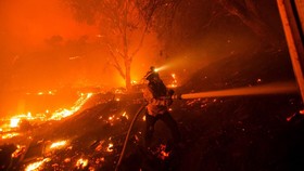 FOTO: Pemadaman Karhutla saat Gelombang Panas di California