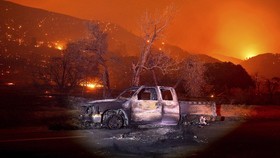 Kebakaran California Meluas, 312 Ribu Hektare Lahan Hangus