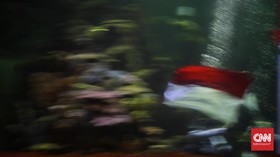 Polisi: Ibu Penggunting Bendera Merah Putih Tak Benci NKRI