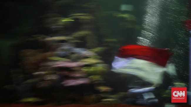 Polisi menyebut alasan ibu menggunting bendera guna menghilangkan kebiasaan anaknya tersebut karena gangguan mental.