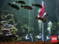 FOTO: Gladi Resik Pengibaran Merah Putih di Dalam Air
