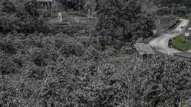 FOTO: Gunung Sinabung Kembali Erupsi