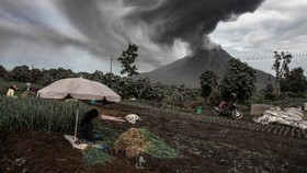 FOTO: Gunung Sinabung Kembali Erupsi