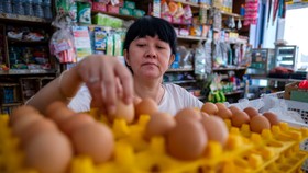 BRI Optimalkan BRIBrain buat Sasar Segmen Ultra Mikro (UMi)