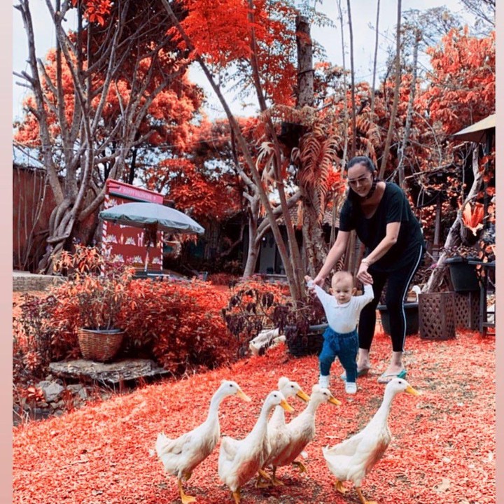 <p>Seperti bayi-bayi lain, ternyata Arabella juga aktif dan suka bermain dengan hewan. Seperti dalam foto bersama bunda Aura Kasih ini. (Foto: Instagram @aurakasih)</p>
