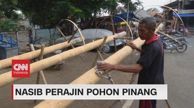 VIDEO: Nasib Perajin Pohon Pinang, Dampak Pandemi Covid-19
