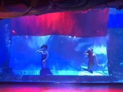 8 Acara Bertema 17 Agustus di Jakarta Aquarium