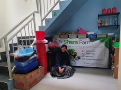 Tren Urban Farming: Niat Hobi Malah Jadi Raup Cuan