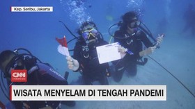 VIDEO: Wisata Menyelam di Tengah Pandemi