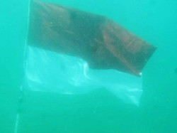 TNI Gelar Upacara HUT RI Ke-75 di Bawah Laut Lhokseumawe Aceh