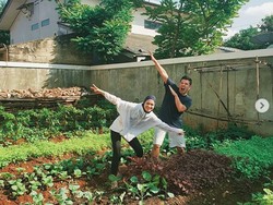 Keseruan Haykal Kamil Berkebun hingga Kue Pengantin yang Mirip Bisul