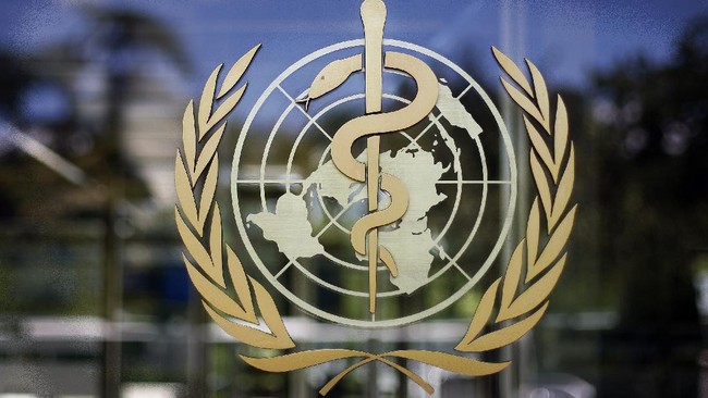 Kronologi Virus Mematikan Baru Nyebar di Kapal Pesiar, WHO Buka Suara
