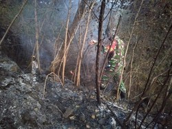 15 Hektare Lahan di Gunung Ciremai Kuningan Hangus Terbakar