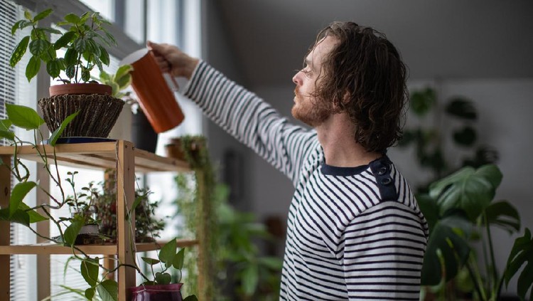 Young man taking good care of indoors plant. Indoors gardening concept.