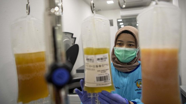 Uji klinis terapi plasma darah atau plasma konvalesen untuk mengobati pasien virus corona dimulai di beberapa rumah sakit di Indonesia hari ini.