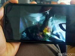 Kades di Banyuwangi Sebut Penampakan Jenglot yang Ditangkap Menyeramkan