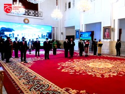 Konsil Kedokteran Indonesia, Proses Pemilihan dan Profil Singkat Anggotanya