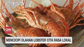 VIDEO: Mencicipi Olahan Lobster Cita Rasa Lokal