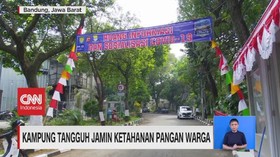 VIDEO: Kampung Tangguh Jamin Ketahanan Pangan Warga
