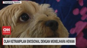 VIDEO: Olah Keterampilan Emosional Dengan Memelihara Hewan