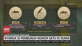 VIDEO: Nyamuk Si Pembunuh Nomor 1 di Dunia