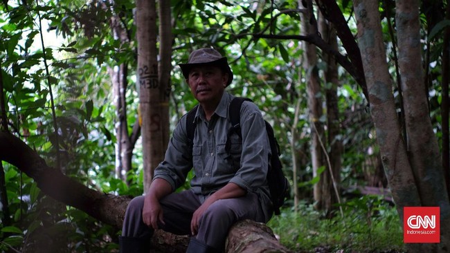 Lewat tangan dingin Gunawan, ratusan pohon gaharu berhasil dibudidayakan. Tapi bukan pundi-pundi uang yang sedang diincarnya.