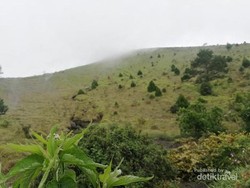 Gunung Guntur yang Memikat