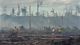9 Hektare Lahan Gambut Ludes Imbas 2 Hari Karhutla di Sumsel
