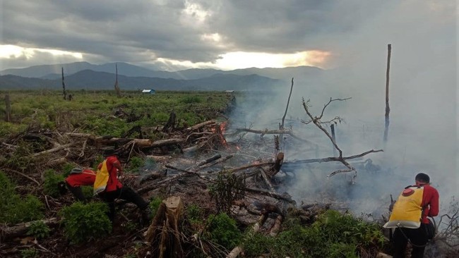 Lahan gambut di Desa Muara Medak, Kecamatan Bayung Lencir, Kabupaten Musi Banyuasin, Sumsel, terbakar, Rabu (10/2), di saat masih musim hujan.