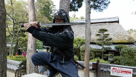 Maling Bobol Museum Ninja, Brankas 150 Kg Isi Uang Diangkut
